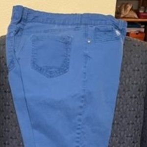 Gloria Vanderbilt Amanda 2.0 Jeans